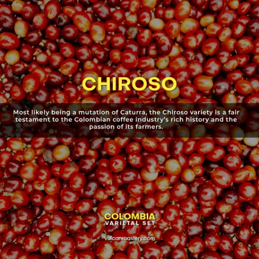 صورة COLOMBIA - CHIROSO - FINCA EL DIVISO 250g