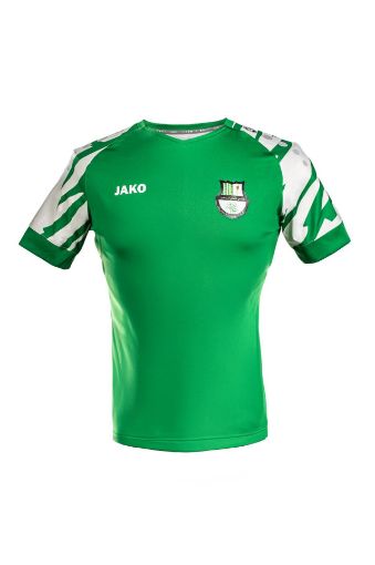 صورة Al Ahli Club Jerseys 24/25 - Green