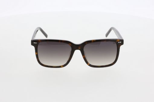 Image for SKU XFM01.01.356903